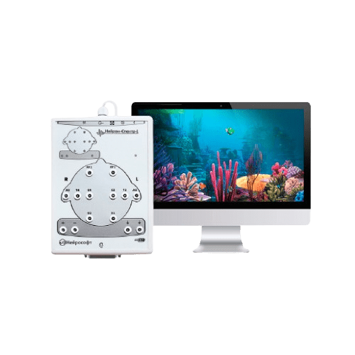 Neuron-Spectrum-1/BFB