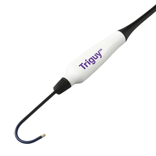 Triguy™ Steerable Ablation Catheter