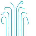 Hydrophilic Angiographic Catheter