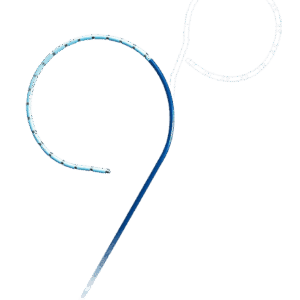 Triguy™ Steerable Duo-decapolar Mapping Catheter