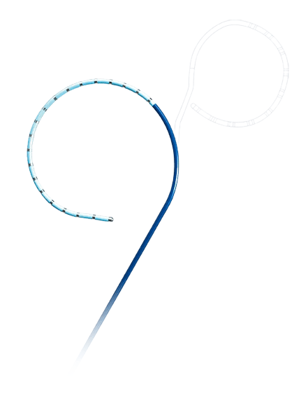 Triguy™ Steerable Duo-decapolar Mapping Catheter