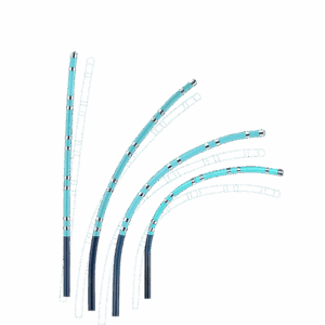 Triguy™ Steerable Mapping Catheter