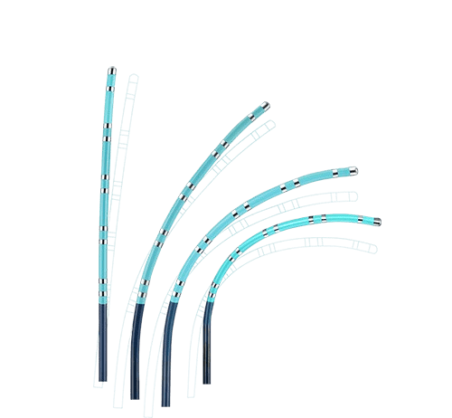 Triguy™ Steerable Mapping Catheter