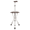 Portable Walking Stick Chair1